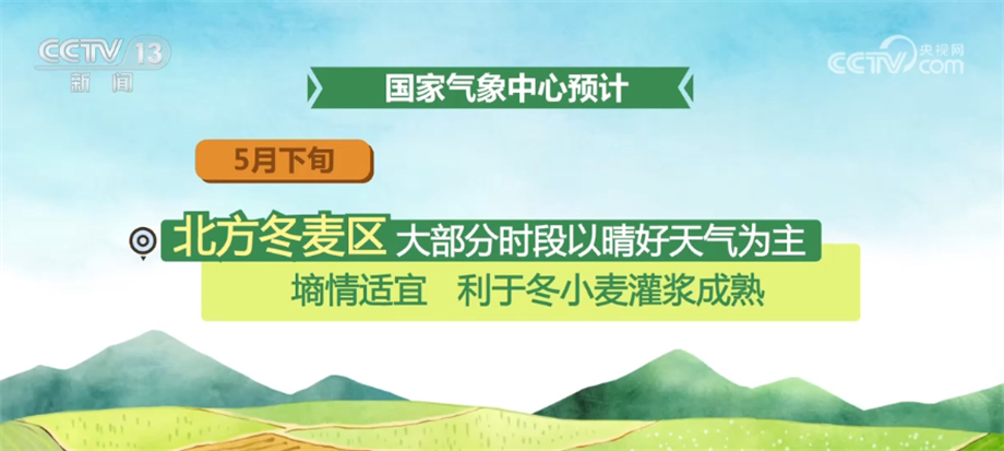 二四六天天彩免費(fèi)資源優(yōu)勢(shì)深度解析，二四六天天彩免費(fèi)資源深度解析報(bào)告