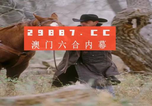 澳門六開彩資料免費大全今天炙手可熱，澳門六開彩資料免費大全，今日熱門之選