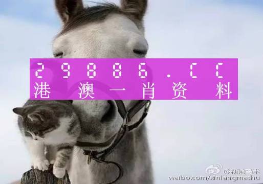 澳門一肖一碼一待一中四不像，澳門一肖一碼神秘預(yù)測，一待一中四不像的真相