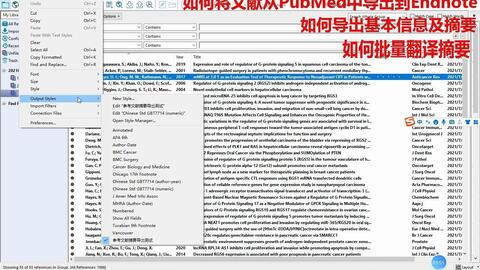 揭秘白小姐奇緣，正版資料大全與四肖奇緣揭秘，揭秘白小姐奇緣，正版資料與四肖奇緣大揭秘