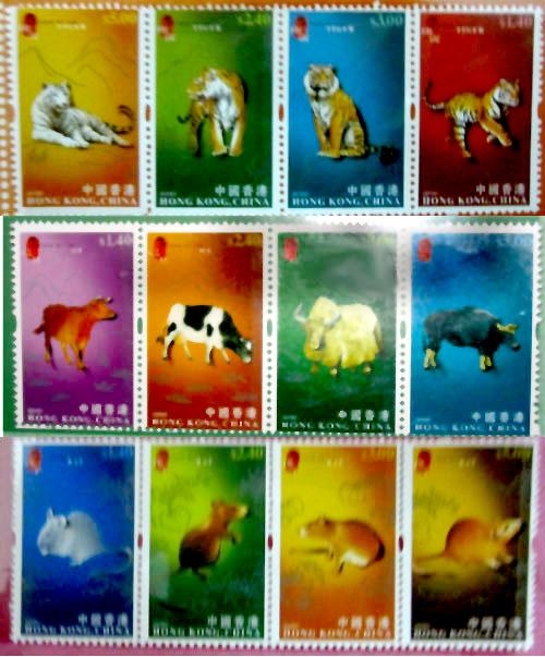 澳門12生肖開什么號碼，澳門生肖號碼揭曉，揭秘今日生肖運勢與幸運號碼