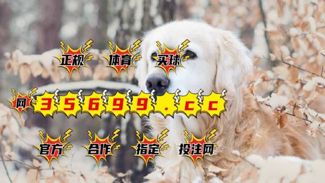 澳門4949開獎結(jié)果最快一覽，澳門4949開獎結(jié)果實時更新速遞