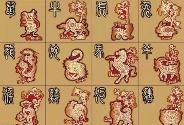 揭秘溜干二凈背后的生肖秘密，揭秘生肖背后的溜干二凈秘密