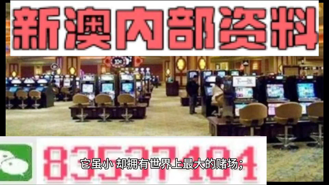 2025新澳門精準(zhǔn)正版免費(fèi)，澳門正版資料免費(fèi)公開預(yù)測(cè)分析