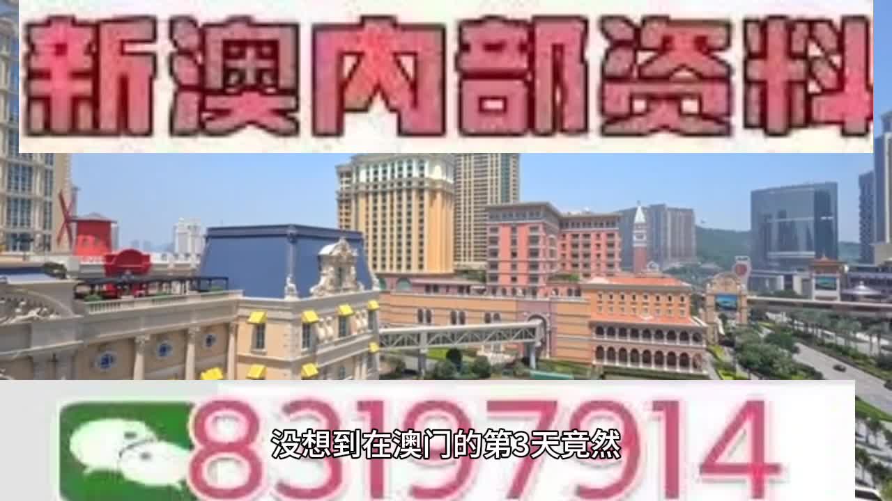今晚澳門必開一肖一特，揭秘生肖特碼的魅力與期待，揭秘生肖特碼魅力與期待，澳門今晚必開一肖一特揭曉之夜