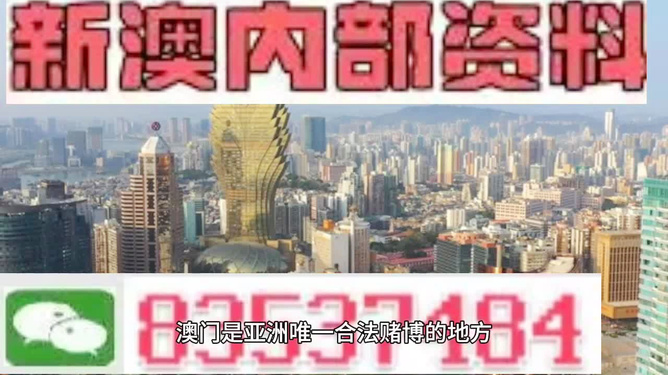 2025年澳門免費(fèi)資料精準(zhǔn)大全，澳門免費(fèi)資料精準(zhǔn)大全（2025版）