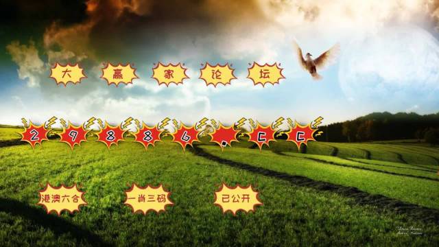 4949澳門特馬今晚開(kāi)獎(jiǎng)53期今，澳門特馬第53期開(kāi)獎(jiǎng)結(jié)果揭曉