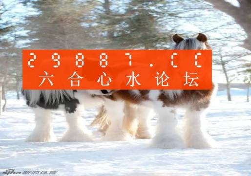 四不像的神秘面紗，今晚必中一肖揭秘，四不像神秘面紗揭曉，今晚生肖揭秘一探究竟