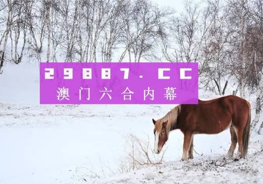 新澳門4949正版大全，澳門正版大全，揭秘新澳門4949彩票資訊