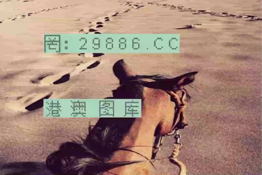 香港特馬資料王中王24期，香港特馬資料王中王第24期獨(dú)家解析