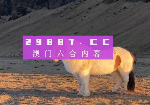 澳門(mén)49圖正版開(kāi)獎(jiǎng)，揭秘彩票背后的故事與魅力，澳門(mén)彩票背后的故事與魅力，揭秘正版開(kāi)獎(jiǎng)的49圖歷程