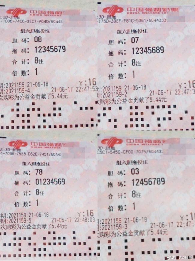 澳門王中王100期期中一期，揭秘彩票背后的故事，揭秘澳門王中王彩票背后的故事，第100期期中一期揭曉