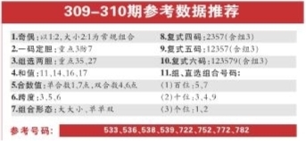 新澳利澳門開獎(jiǎng)歷史結(jié)果310期，回顧與解析，澳門開獎(jiǎng)歷史結(jié)果回顧與解析，第310期回顧解析