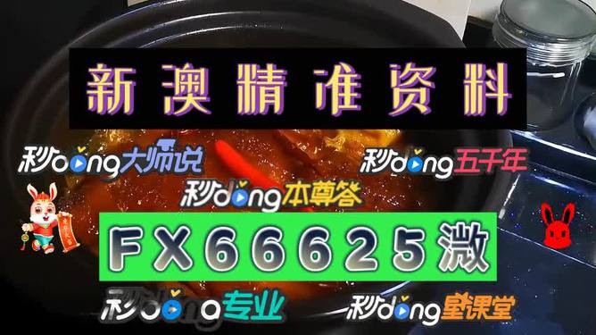 港澳寶典港澳網(wǎng)站，港澳寶典，探索港澳網(wǎng)站的門戶