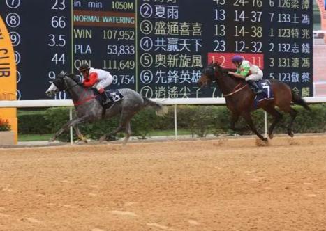 2020年澳門馬會傳真絕密信，澳門馬會傳真絕密信揭秘，獨家情報背后的秘密 2020年獨家報道