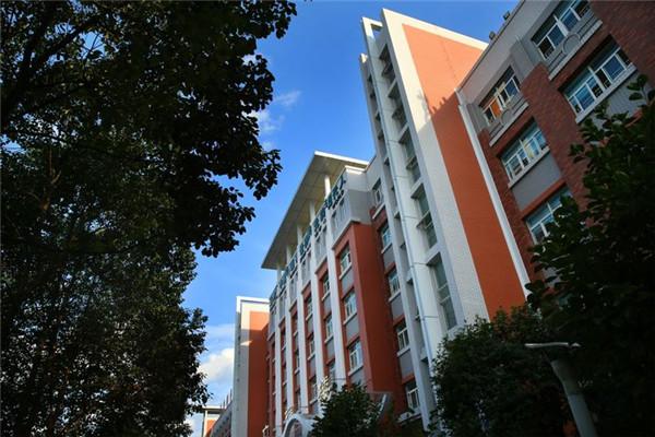 今晚必中一肖四不像圖2019年98期，今晚必中一肖四不像圖，揭秘2019年98期彩票奧秘