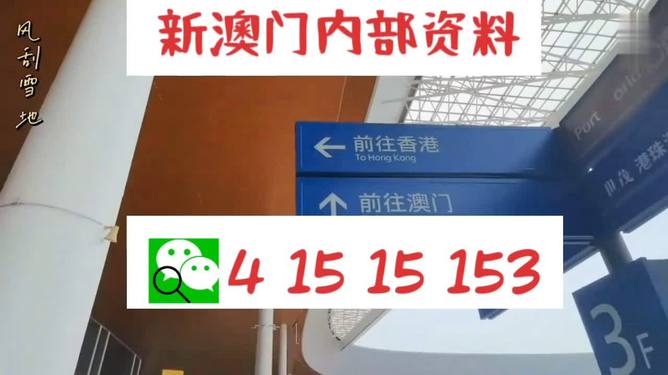 新澳六叔精準(zhǔn)資料大全111期開獎，新澳六叔精準(zhǔn)資料大全，111期開獎結(jié)果揭曉