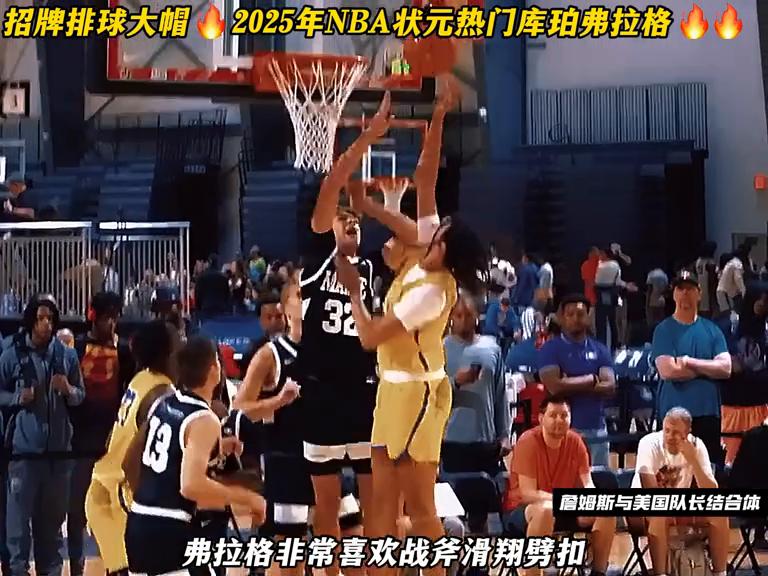 探秘2025年今期今晚四不像正版圖，探秘2025年四不像正版圖揭秘之夜