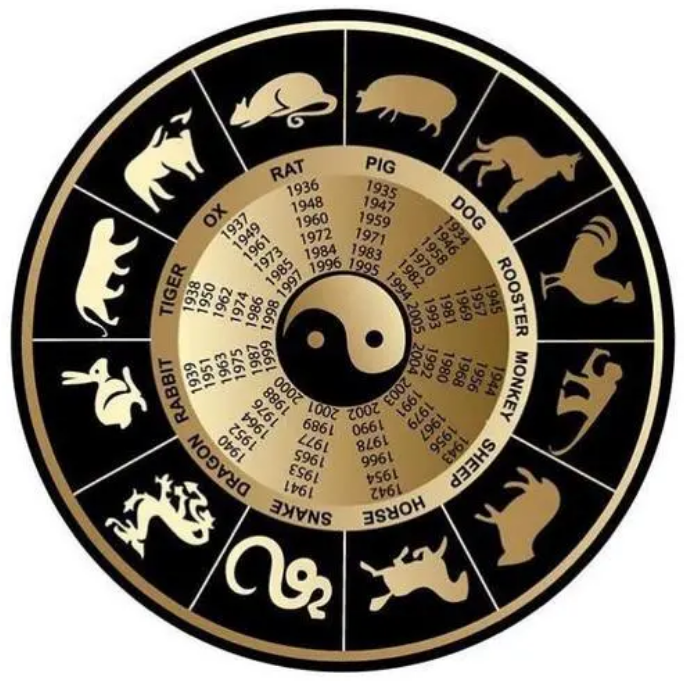 生肖圖49個號碼，解讀與探索，生肖圖49個號碼深度解讀與探索