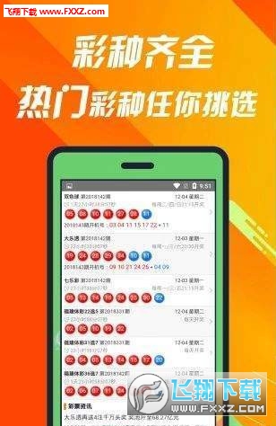 王中王493333中特一特色，深度解讀與探索，王中王特色深度解讀與探索，揭秘特色背后的奧秘
