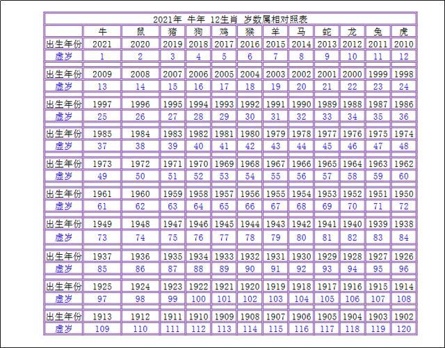 疾風(fēng)之影 第5頁