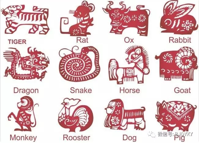 揭秘2025十二生肖49碼表圖片，鯉魚躍動(dòng)，揭秘生肖之謎，揭秘十二生肖49碼表圖片，鯉魚躍動(dòng)背后的生肖奧秘