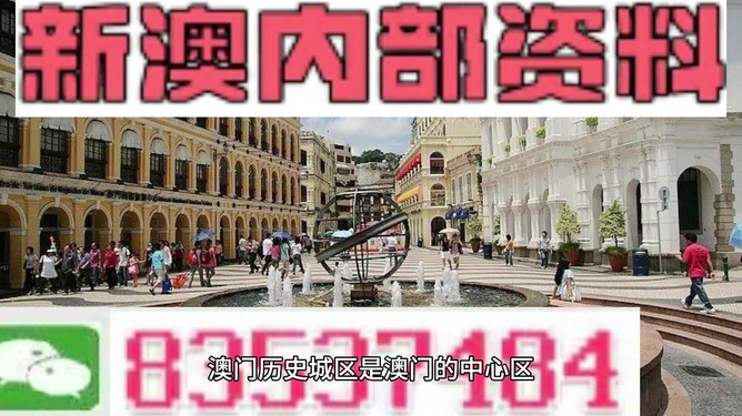 新澳門免費精準(zhǔn)大全，澳門免費精準(zhǔn)大全指南