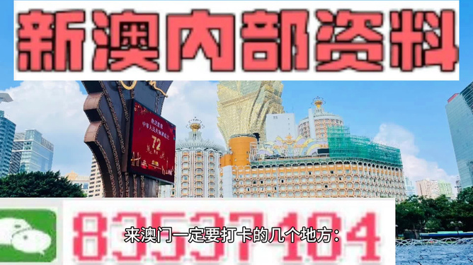 新澳門最精準(zhǔn)正最精準(zhǔn)龍門——探索新時代的魅力與機(jī)遇，澳門新時代，魅力與機(jī)遇的探索之旅