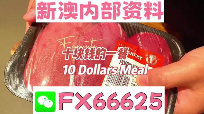 新澳最精準正最精準大全，新澳最精準大全，最新最準確的資訊整合