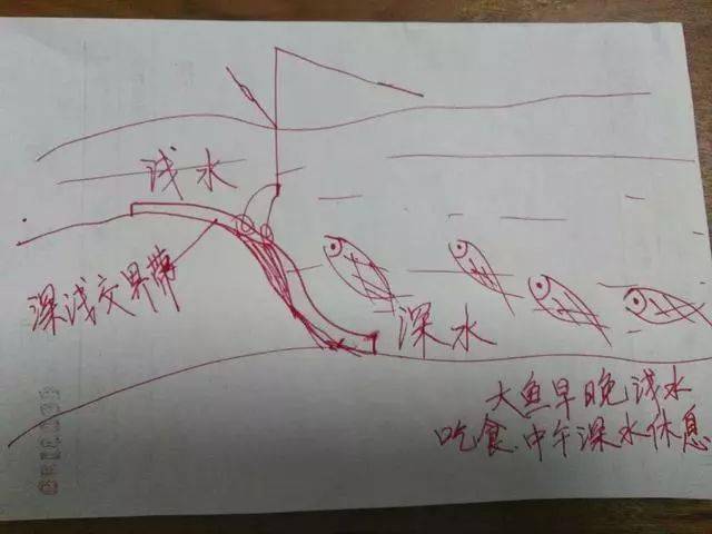 7777788888精準跑狗圖最新版亮點，最新精準跑狗圖軟件亮點解析，77777與88888特色功能一覽