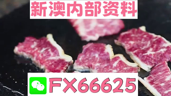 新奧精準(zhǔn)資料免費(fèi)提供，新奧精準(zhǔn)資料大全，免費(fèi)獲取的資料匯總