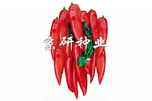 三肖三期必出特肖資料香港，香港三肖三期必出特肖資料揭秘