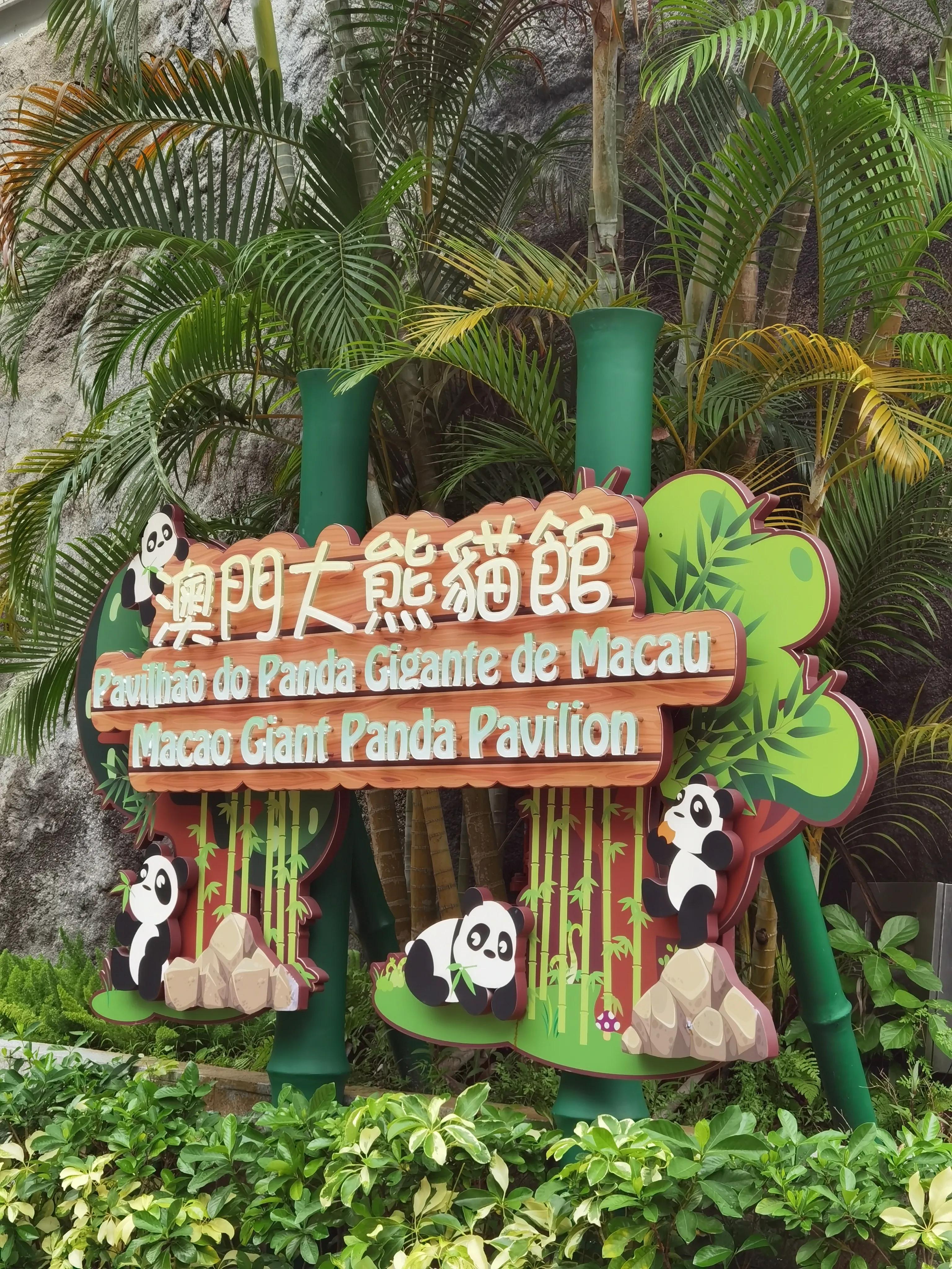 澳門二四六天天彩的魅力與奇幻，澳門二四六天天彩，魅力與奇幻之旅