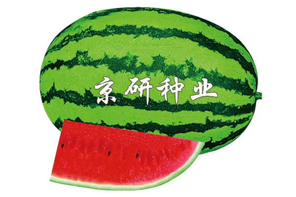 揭秘香港六消中特期期誰——熱門話題解析，揭秘香港六消中特期期背后的秘密，熱門話題解析