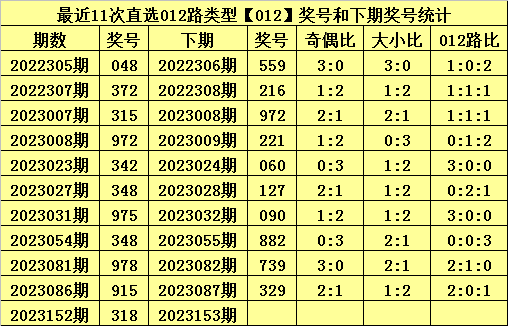 揭秘白小姐今晚特馬開什么——一場懸念與期待的盛宴，揭秘白小姐今晚特馬開獎(jiǎng)，懸念與期待的狂歡夜