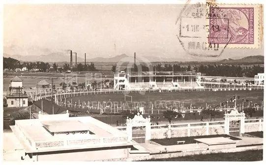 2020年澳門版跑狗圖233期，澳門版跑狗圖第233期解析與預(yù)測