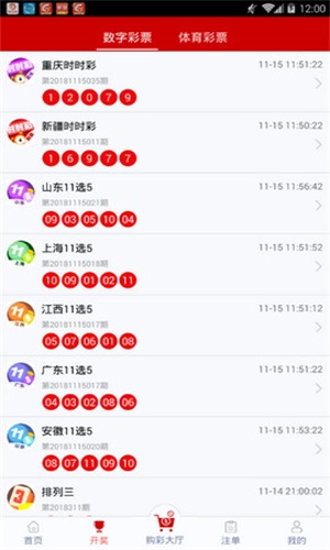 揭秘王中王72396開獎(jiǎng)號碼，探尋幸運(yùn)之門背后的秘密，探尋王中王72396開獎(jiǎng)號碼背后的幸運(yùn)之門秘密
