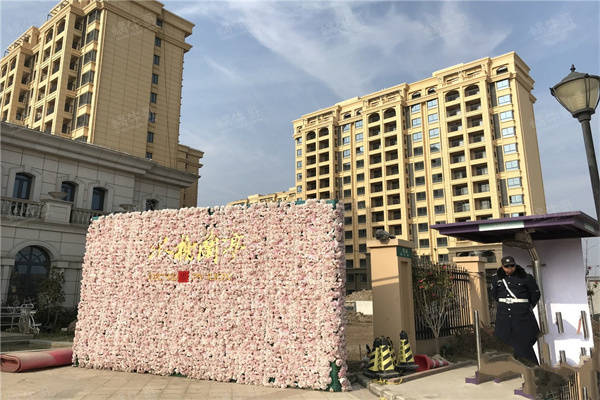 2O24年今晚新奧門開什么碼