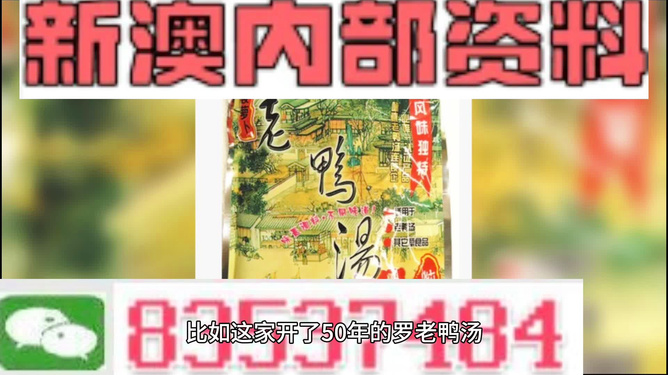 新澳正版資料與內(nèi)部資料的深度解析，新澳正版資料與內(nèi)部資料的深度剖析