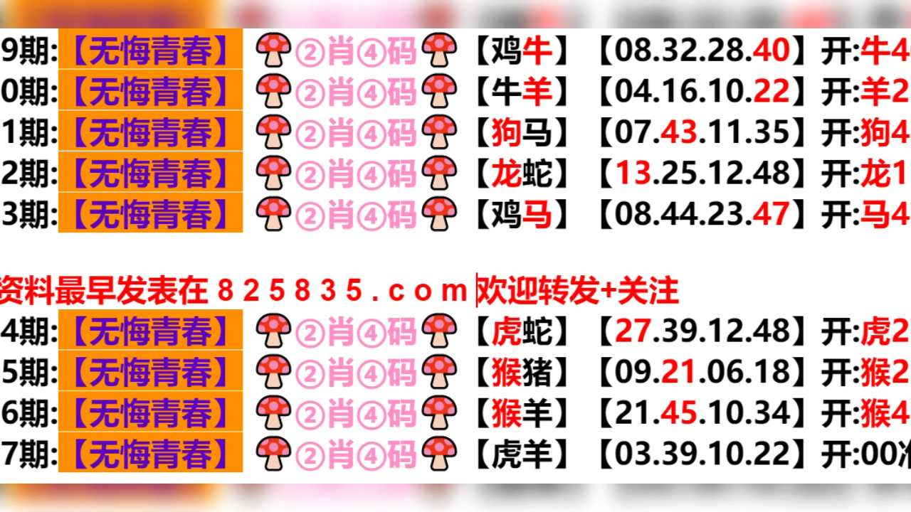 新奧今晚平特一肖，新奧今晚平特一肖揭曉時刻