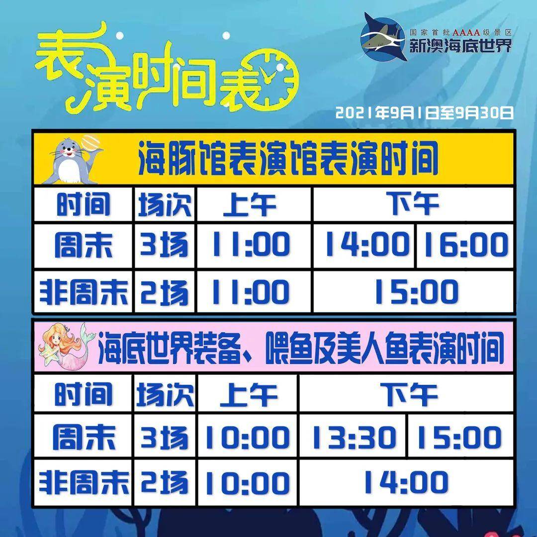 新澳天天開好彩資料大全特色，探索彩票的新時代魅力，探索新澳天天開好彩資料大全的特色，彩票新時代的魅力所在
