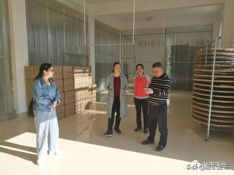選碼助手統(tǒng)計器的數(shù)字革命，引領(lǐng)新時代的智能工具，選碼助手統(tǒng)計器的數(shù)字革命，引領(lǐng)智能工具新時代的新標桿