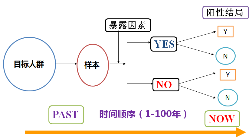新奧天天正版資料大全，今晚開(kāi)仁揭秘盛宴，新奧天天正版資料大全，今晚揭秘盛宴開(kāi)啟
