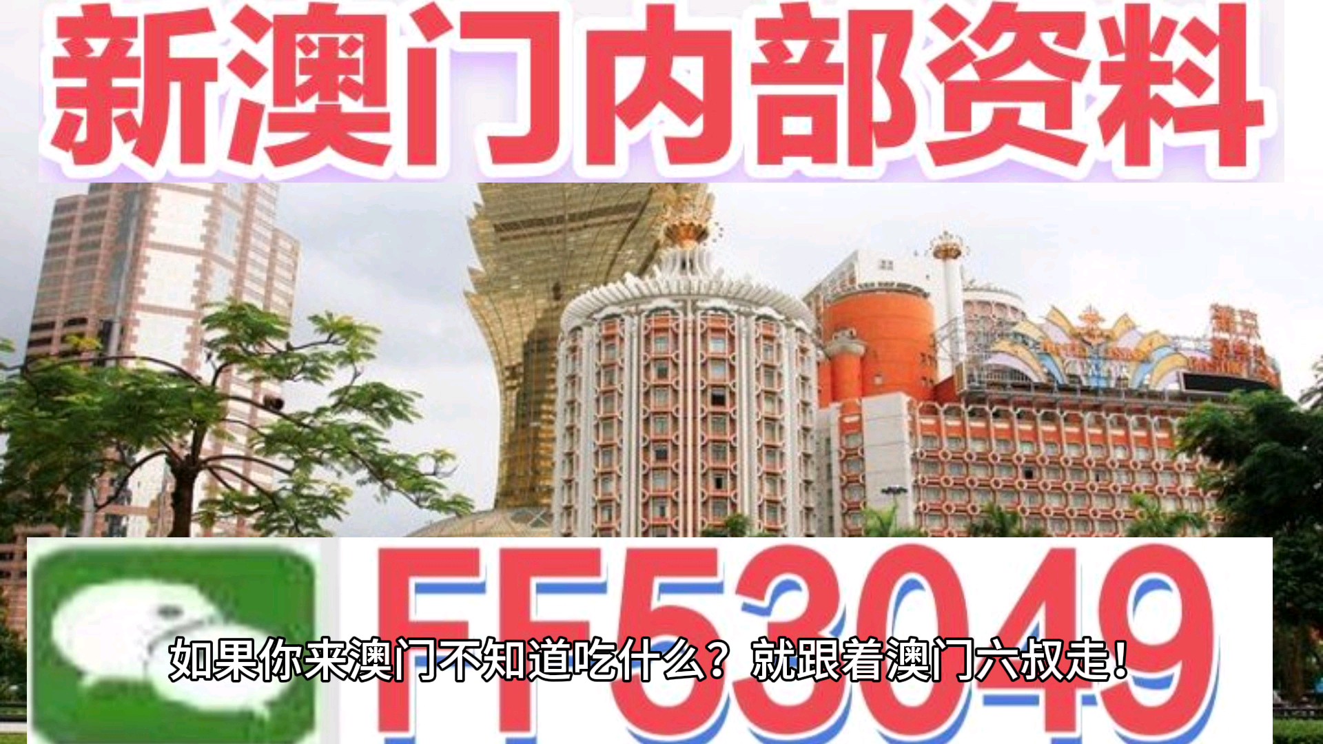 揭秘澳門特馬今晚開獎(jiǎng)億彩網(wǎng)書肖奧秘，澳門特馬今晚開獎(jiǎng)億彩網(wǎng)書肖奧秘揭秘