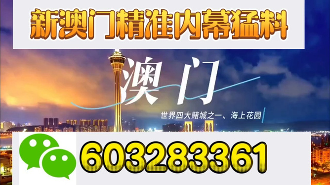 澳門彩今晚特馬號碼揭曉，一探究竟！，澳門彩今晚特馬號碼揭曉，揭秘幸運之門！