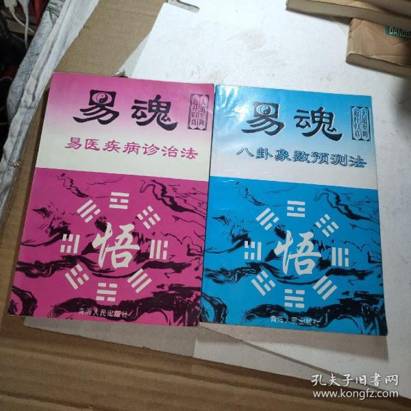 易魂新資料，易魂新資料概覽