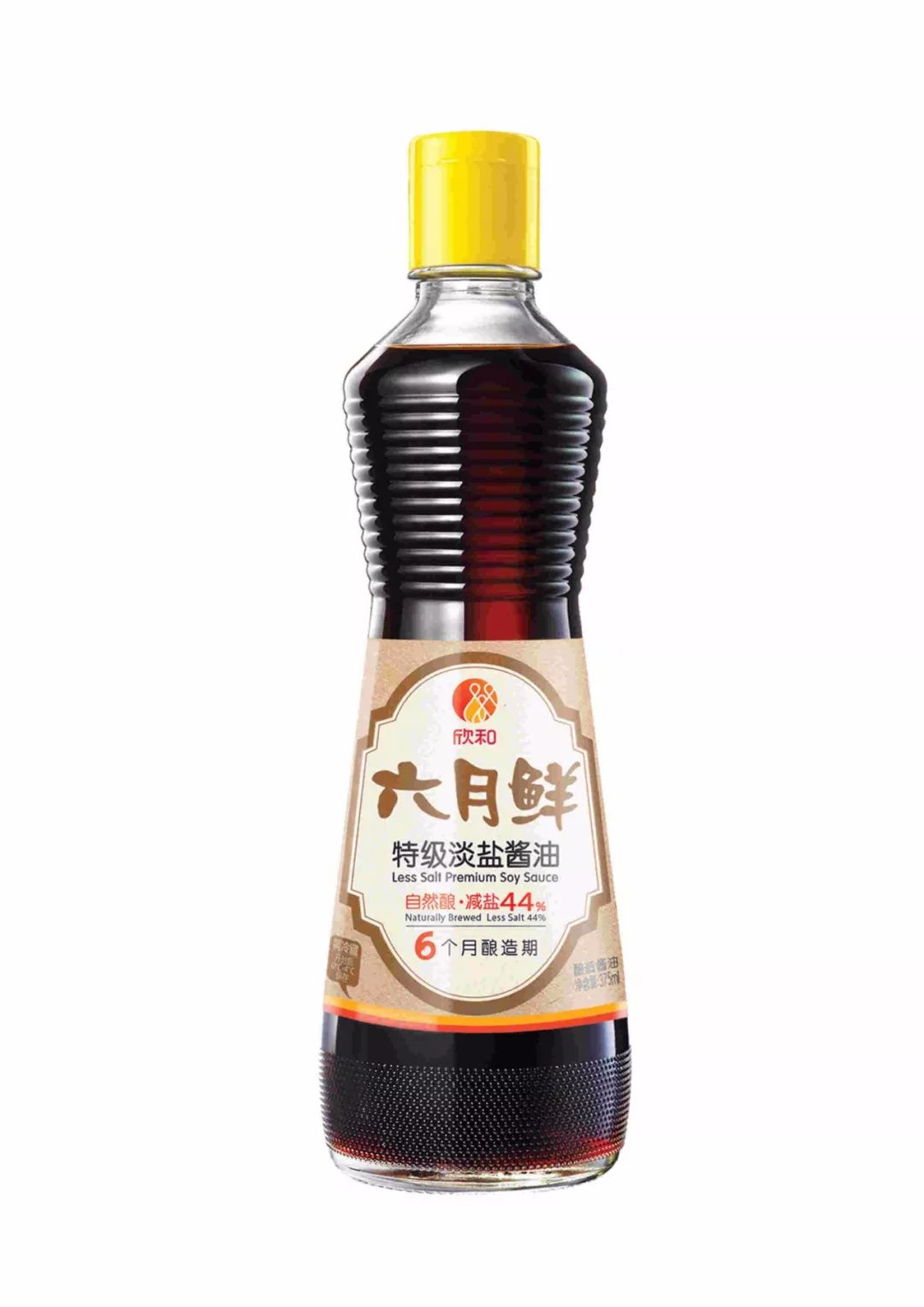 新澳門(mén)王中王五肖特揭秘與解析，澳門(mén)王中王五肖揭秘與解析指南
