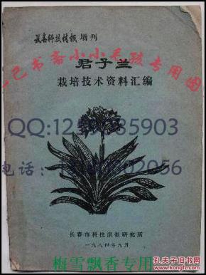 遠(yuǎn)方的海 第2頁