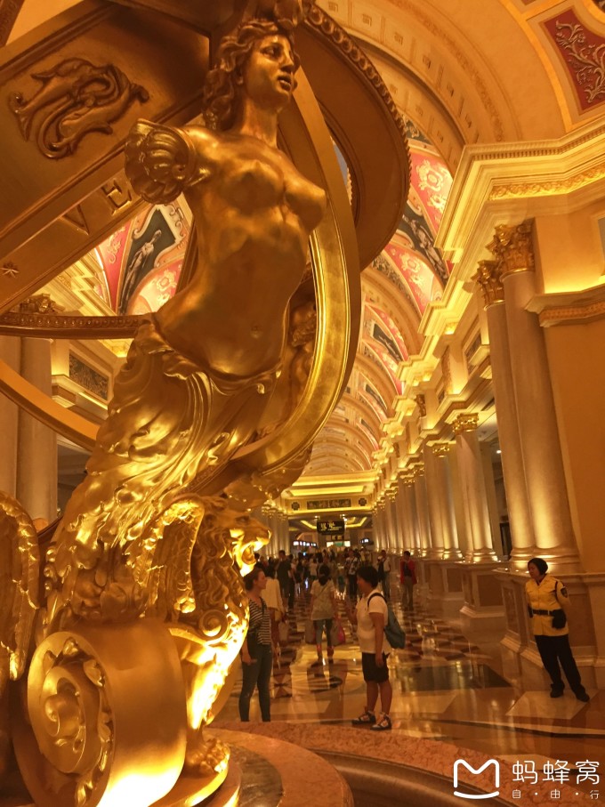 澳門金威尼，歷史、文化、發(fā)展與未來展望，澳門金威尼，歷史傳承、文化發(fā)展及未來展望