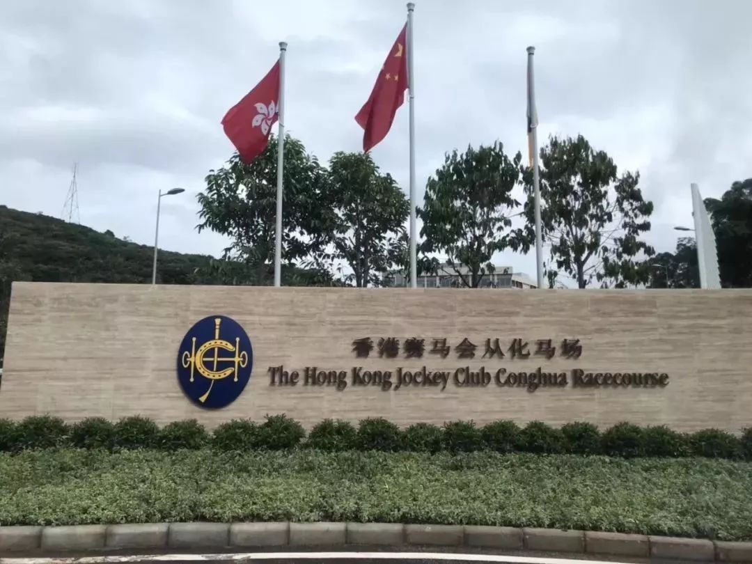 香港賽馬會(huì)是香港政府辦的嗎，香港賽馬會(huì)，政府背景與賽馬產(chǎn)業(yè)巨頭